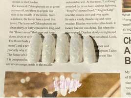 クラッシュオーロラネイル☆