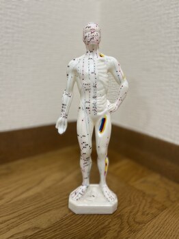 和楽治療院 神楽坂/お待ちしている仲間