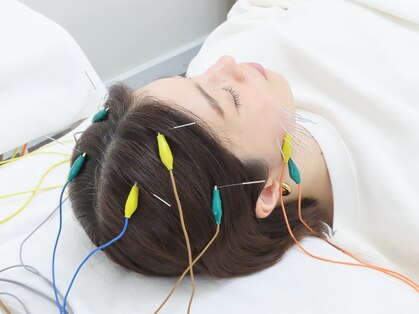 ワン(One)の写真