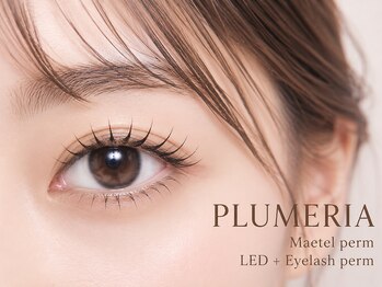 プルメリア 下関店(PLUMERIA)の写真/パリジェンヌラッシュリフト上3900円上下6500円/カールが選べるまつげパーマ/メーテルロッド/リフエクも有