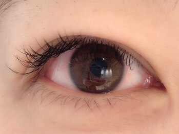 カラン 焼津店(CALIN)/フラットラッシュ120本