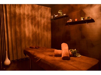 アルマ(ALMA)の写真