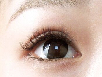 マリー エクラン/フラットラッシュ