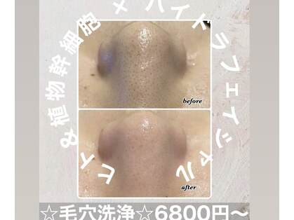 エンチャント(ENCHANT)の写真