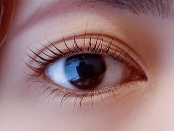 エフ(F...)/上下 まつげパーマ