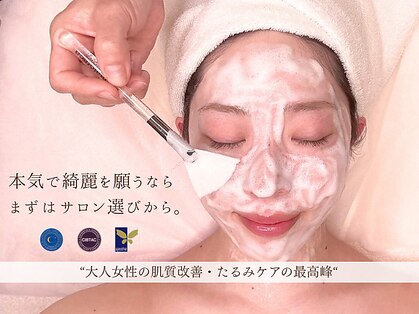 ホワイトカメリア(White Camellia)の写真
