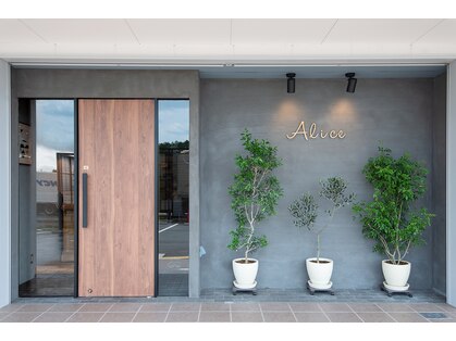 アリス(Alice)の写真