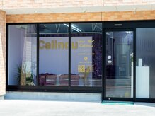 サロン カリヌゥ(salon Calinou)