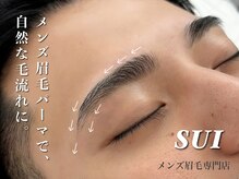 スイ(SUI)/メンズアイブロウ