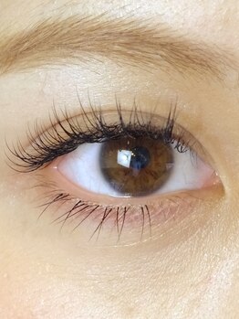 アイラッシュマルヴァ(Eye Lash Malva)/ナチュラル