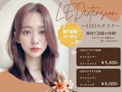 コア(Koa)の写真