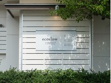 エコスロウ(ecoslow)