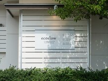 エコスロウ(ecoslow)
