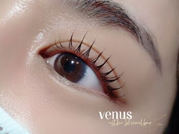 ヴィーナス 船橋駅前店(VENUS)/リフティングカールCカール