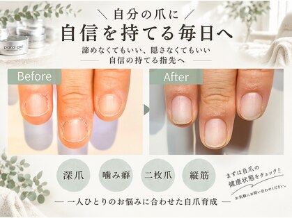 ニコプラス(NICO+)の写真
