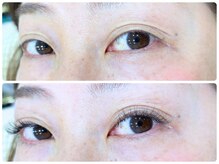 ステラ/ボリュームラッシュ100束