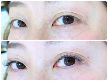 ステラ/ボリュームラッシュ100束