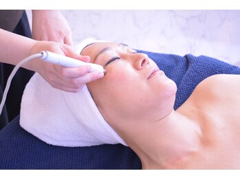 アブソリュートワン(absolute1)/エレクトロポレーション導入