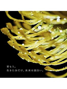 ポーラ 藤枝店(POLA)/フェイシャルエステポーラ藤枝店