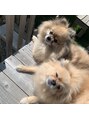 プールヴー(Pour Vous) 実家には2匹の可愛いわんちゃんが…！会う為によく帰省します＊
