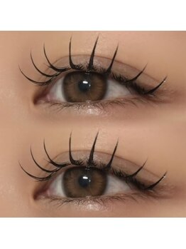 ルリアルリア(Lelie)/フラットラッシュ120本