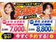 セシル(CECIL)の写真