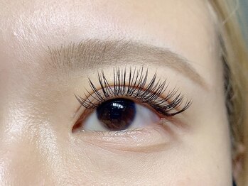 ネスト(Nest)/フラットラッシュ160本/Cカール