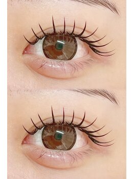 ハウオリ(Hau'oli)/ダブルフラット100束