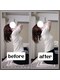 ぷめはな整体の写真/その場しのぎでは戻ってしまう腰のつらさに。原因から丁寧に見立て、繰り返さない体づくりをお手伝いします