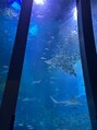 ザ ブロウ 池袋東口店(THE BROW) 水族館に行くのが好きです!