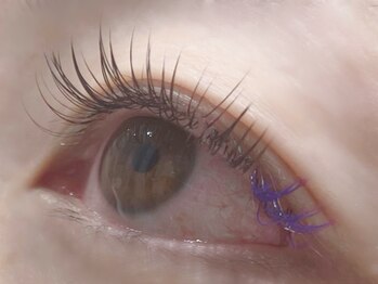 エミーアイラッシュ 大通店(Emii Eyelash)/ポイントカラー/つけ放題180本