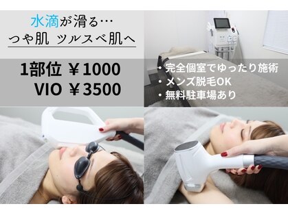 チャッピー(CHAPPY)の写真