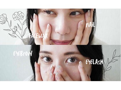 テイラー(Taylor)の写真