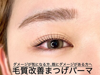 リーウ(leeu)の写真