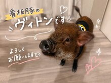RKの雰囲気(たまにお出迎えさせていただきます♪)
