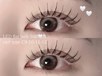 プラス ファースト(Plus 1st)/パリエクbyKimura