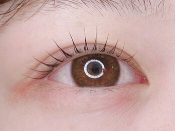 リンダテール じゅんさい池前店(Linda Tail)の写真/ナチュラル派や自まつ毛を綺麗に見せたい方必見！人気の次世代まつ毛パーマ・バインドロックで理想へ♪