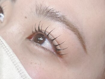 アルメリアリッセ(Armeria lisse)の写真/目元を最大限、魅力的に見せるデザインを提案します〇モチが悪い方もご相談ください！