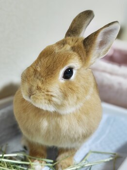 グラントオンボーテ(Grant en beaute)/当店のイメージガール１