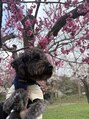 アンドスパ(And Spa)&nbsp;かわいい愛犬です！(*´ω`*)