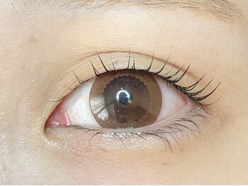 クロレ(Colorer)/ラッシュリフト¥6600→¥5500