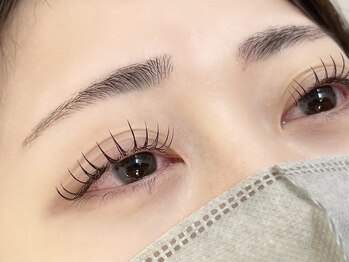 ルピナス 川口(Lupinus)/フラットラッシュ120本