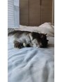 ルーツ 巣鴨店(roots) うさぎを飼っているので、うさぎ好きな方は是非♪