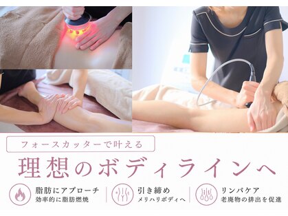 ビオルブ(VIOLVE)の写真