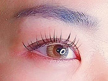 ラシク ベル(Lashiku Belle)/フラットラッシュ120本