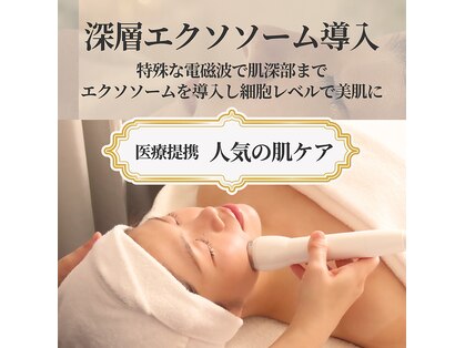 アネーロ(Anhelo)の写真