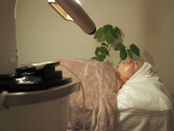 レスイズモア 恵比寿(less is more.)/サロン雰囲気