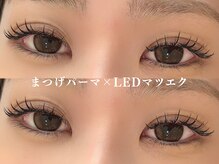 トヒト(TOHITO)の雰囲気(大人気のパリエク ◎)