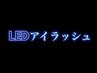 【秋冬・乾燥季節におすすめ】高持続力LED★フラット100本　6500円