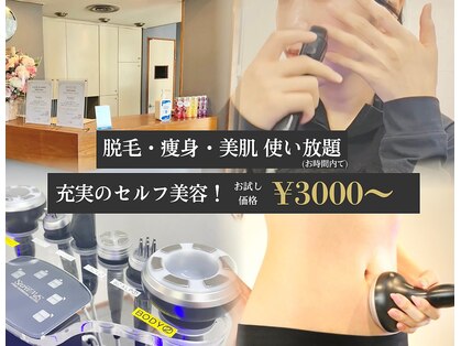 サンデイ(Sunday)の写真